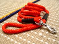 Cord nylon dog leash