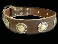 pitbull collar