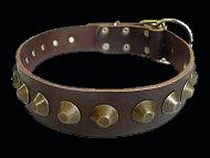 Pitbull leather dog collar