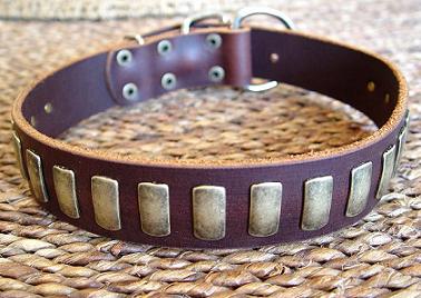 Gorgeous Wide Leather Dog Collar