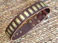 pit bull leather dog collar