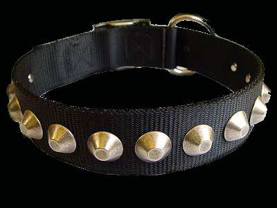 Nylon dog collar