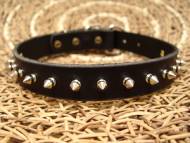 Spiked pitbull collar