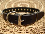 Spiked pitbull collar