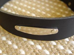 dog collar