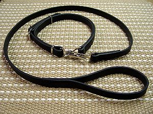 "Police / hunting" dog leash and collar (combo)