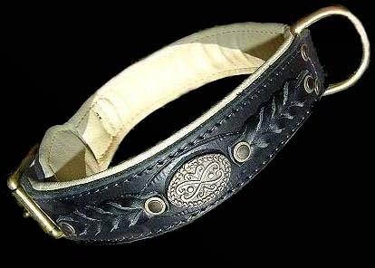 pit bull collar