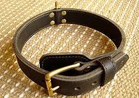 dog collar