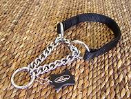 pitbull dog collar