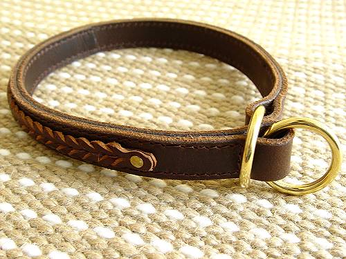 leather choke dog collar