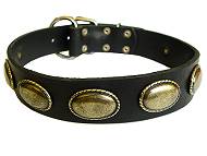 dog collar for pitbull