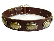 leather dog collar for pitbull