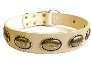 pitbull leather dog collar