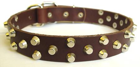 pitbull leather dog collar