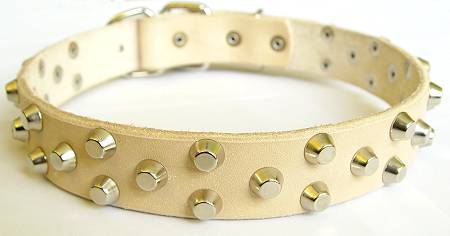 dog collar for pitbull